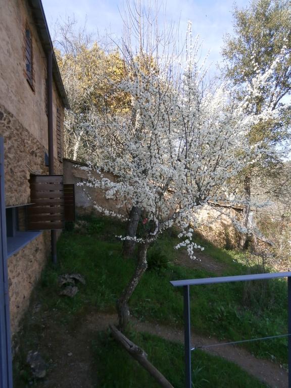 El Risco Del Lomero, Alberca 4 Huesp Max Valdelarco Екстер'єр фото